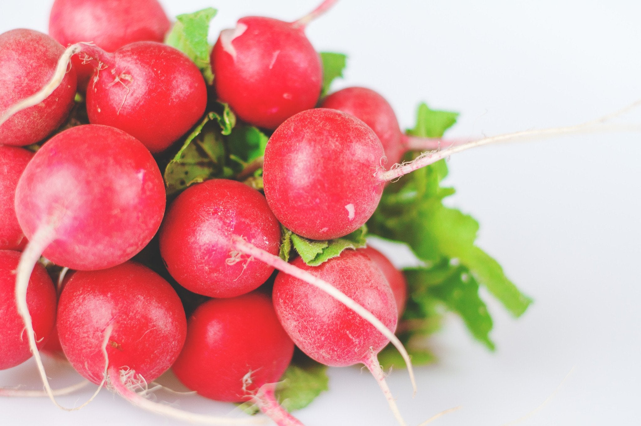 Radishes